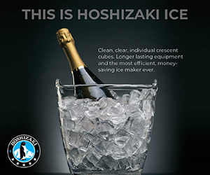 Hoshi-Ice-Bucket-300x250-1.jpg